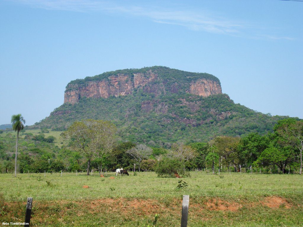 roteiros do paxixi