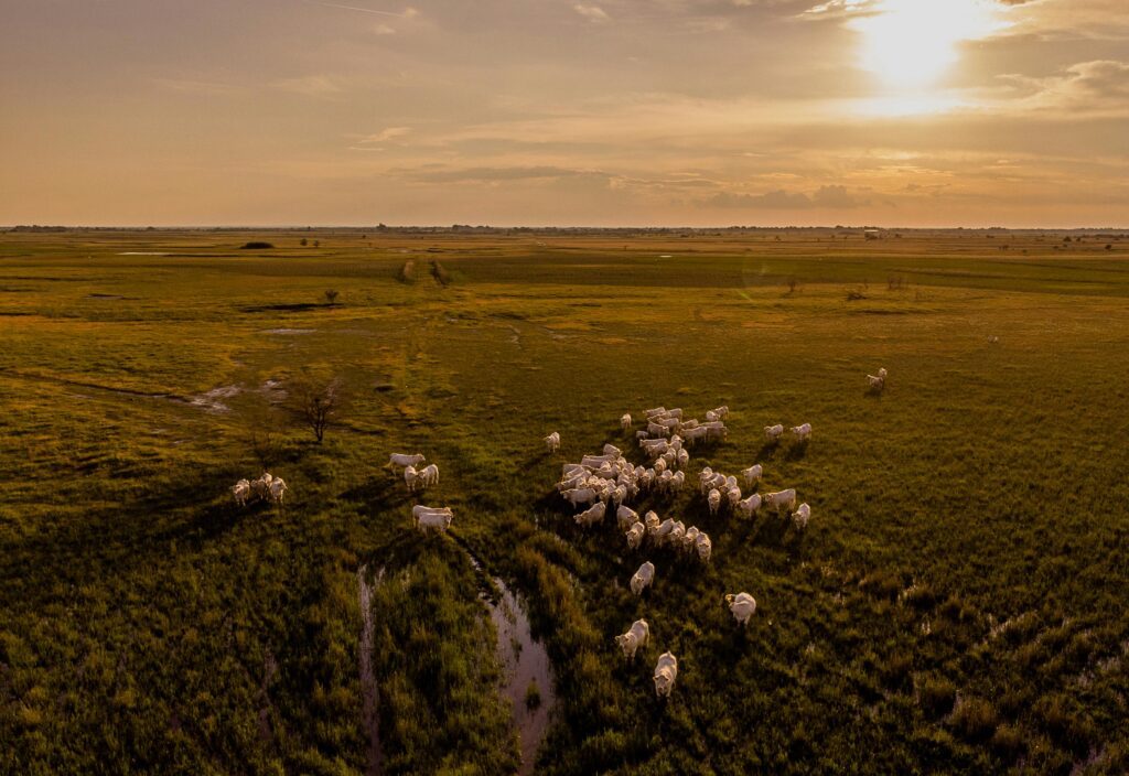 Pantanal Tech 2025