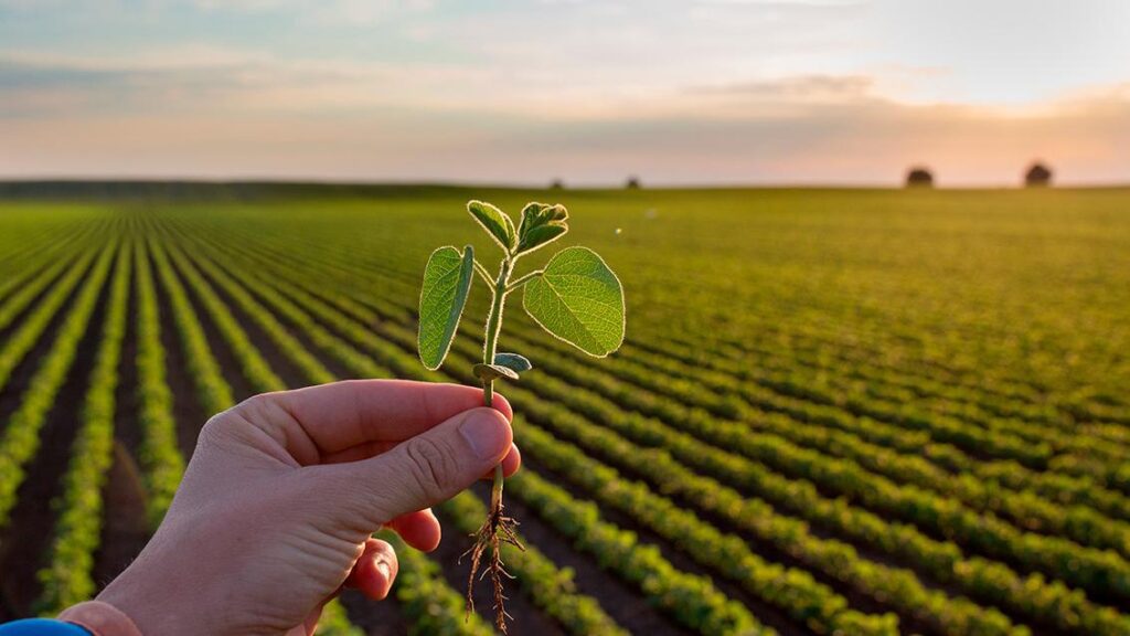 Agricultura 4.0