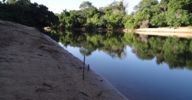 Aquidauana rancho do ely paxixi