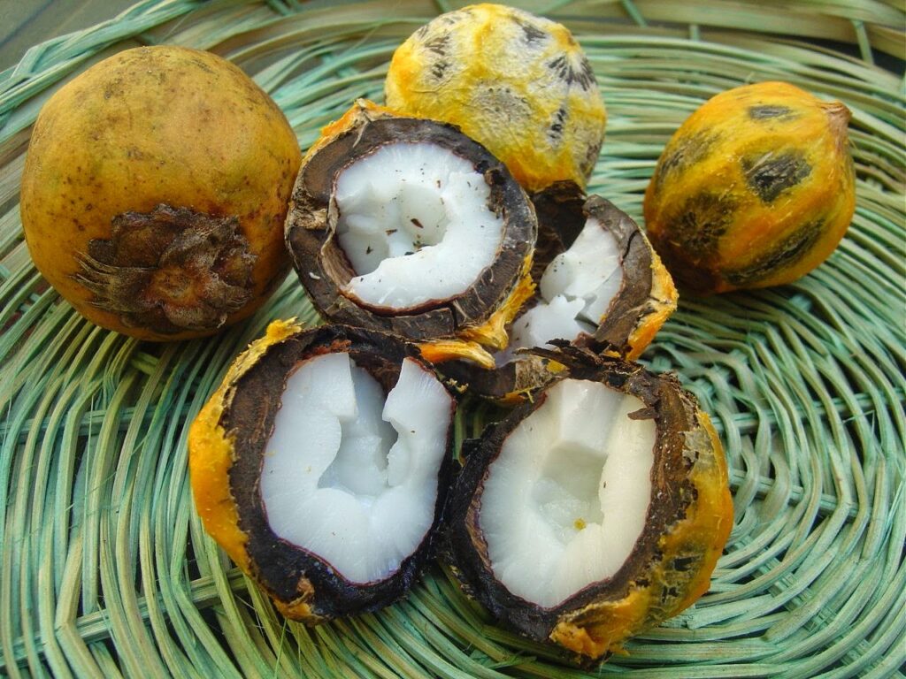 doces paxixi bocaiuva