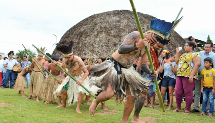 indios terena paxixi