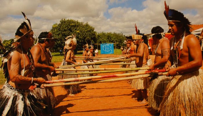  indios terena paxixi