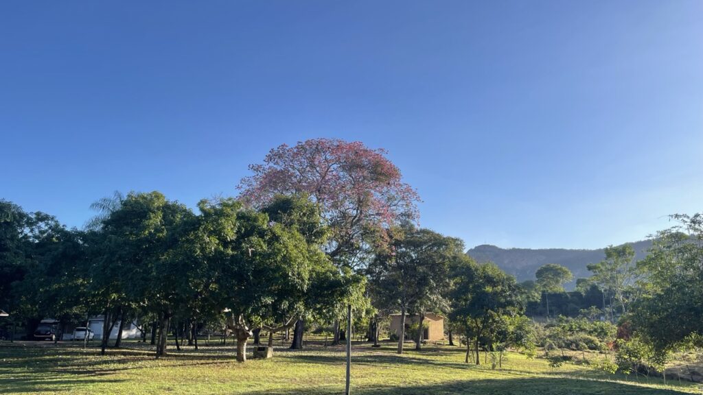 roteiros do paxixi