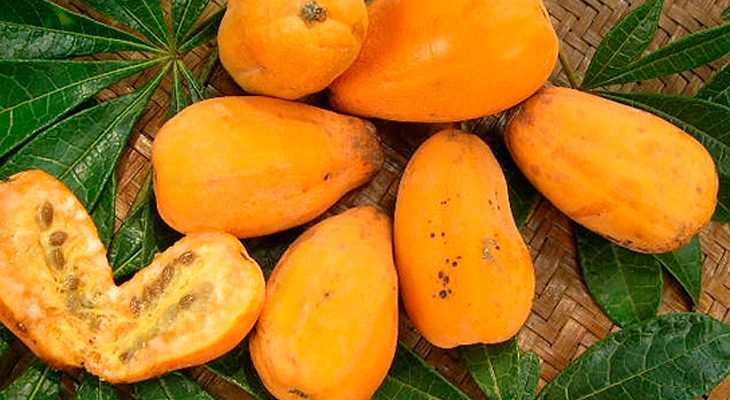 doces jaracatiá