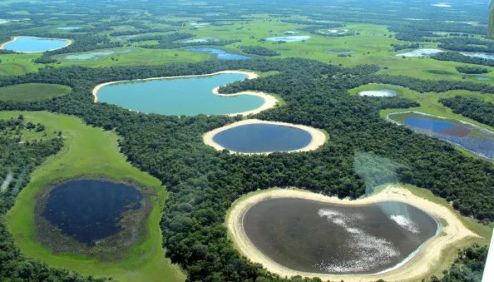 O Pantanal- A Maior Planície Inundável