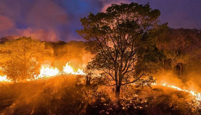 Incêndio no Pantanal - Fonte: Exame