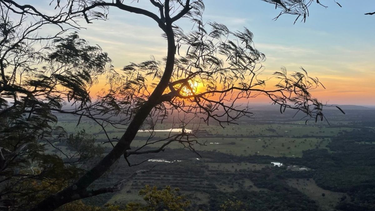 Pôr do Sol entre árvores no Mirante do Paxixi. Fonte_ Fábio Mazziotti - Roteiros do Paxixi