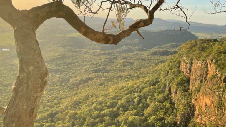 Pôr do Sol no Morro do Paxixi. Foto: Fábio Mazziotti - Roteiros do Paxixi mirante do paxixi