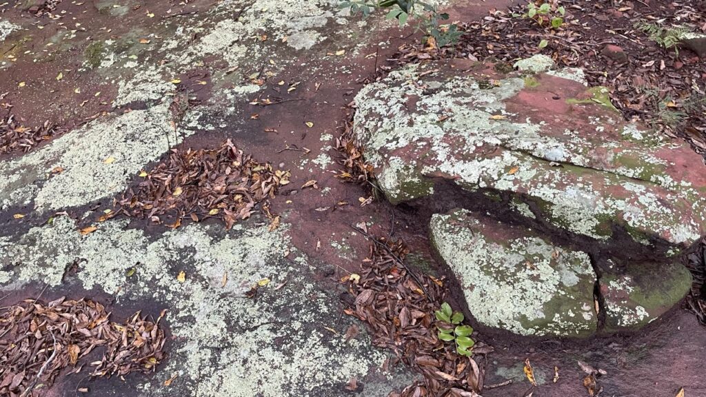 formaçao geológicca paxixi