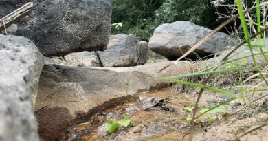 Rio formaçao geológicca paxixi