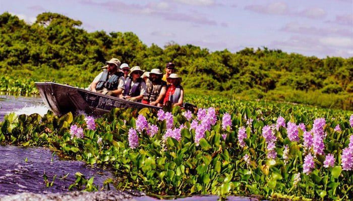 roteiros do paxixi pantanal aquidauana Camisão ecoturismo