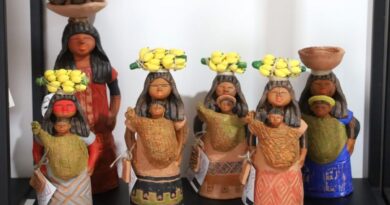 artesanato aquidauana roteiros do paxixi terena