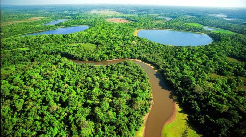 pantanal roteiros do paxixi aquidauana ms