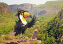 Tuco, mascote do Roteiros do Paxixi, em frente ao Morro do Paxixi na Serra de Maracaju, Aquidauana MS turismo em aquidauana pantanal morro do paxixi estrada parque piraputanga