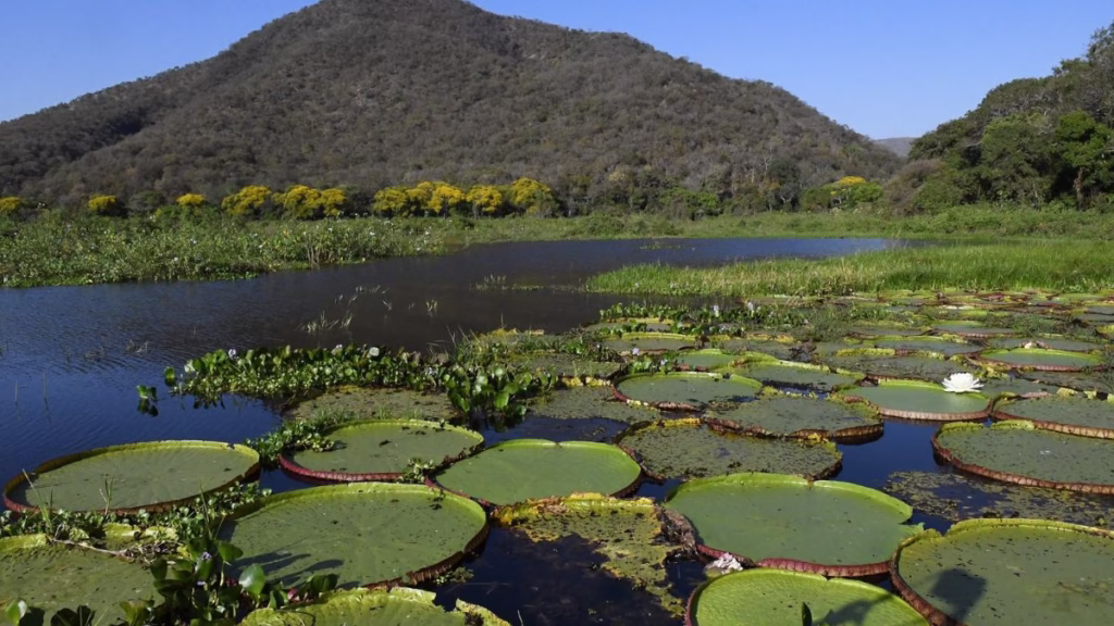 turismo em aquidauana roteiros do paxixi