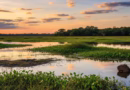 turismo em aquidauana roteiros do paxixi