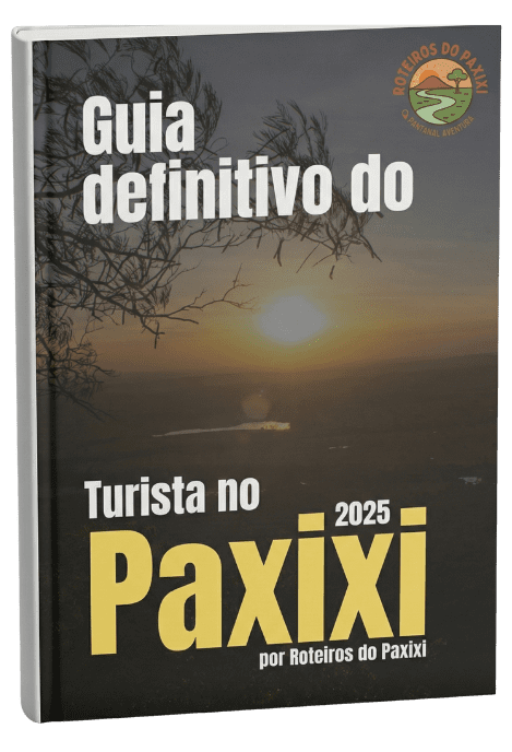 Capa do e-book Guia do Viajante no Paxixi