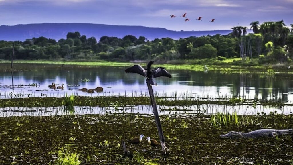 O Turismo em Aquidauana Virou Destino de Verdade — e o Paxixi Está no Centro Disso