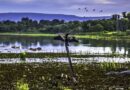 turismo em aquidauana roteiros do paxixi