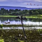 O Turismo em Aquidauana Virou Destino de Verdade — e o Paxixi Está no Centro Disso turismo em aquidauana roteiros do paxixi