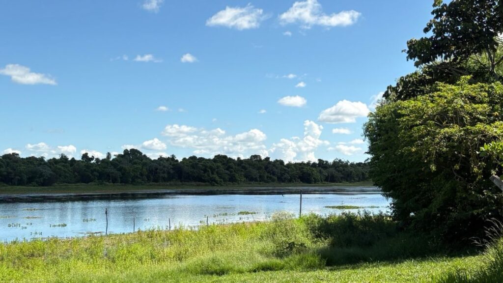 Global Big Day 2026 em Aquidauana coloca o Pantanal no mapa mundial do birdwatching